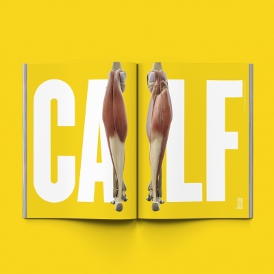 Livro aberto mostrando ilustrações anatômicas da panturrilha com texto CALF em fundo amarelo