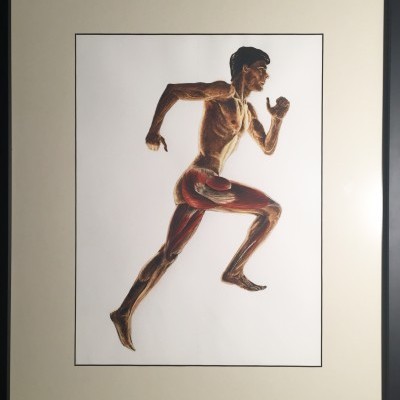 Ilustração anatómica de homem a correr com músculos expostos e moldura preta