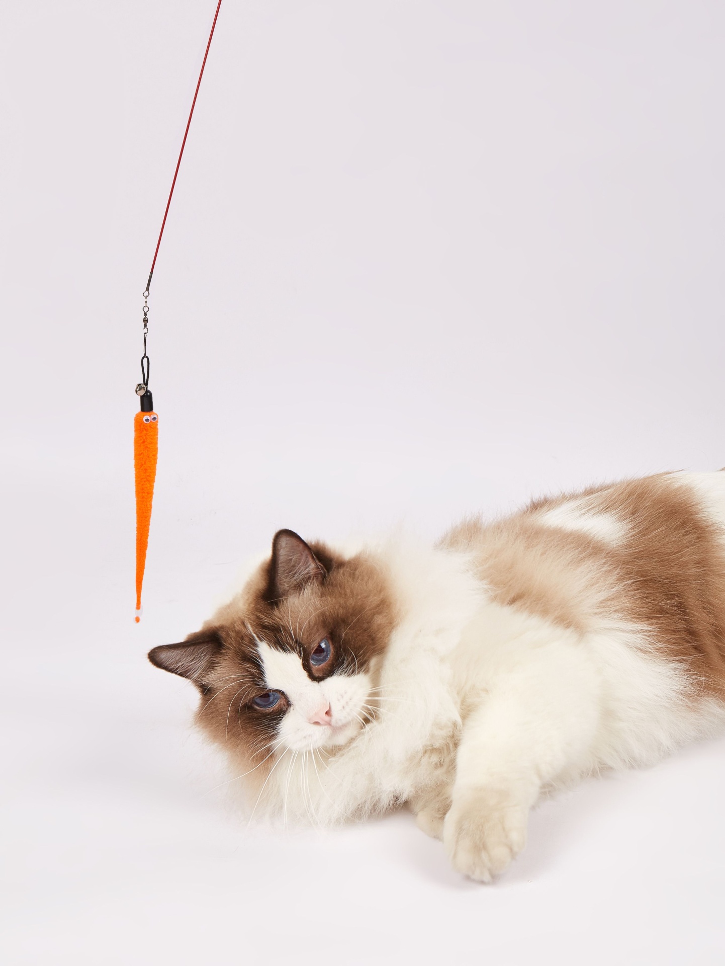 Brinquedo para gatos suspenso com bastão vermelho e isco laranja com gato de pelo longo ao fundo branco