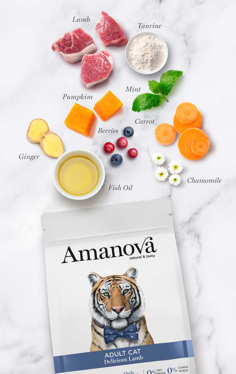 Embalagem de alimento para gatos Amanova sabor cordeiro com ingredientes naturais ao redor