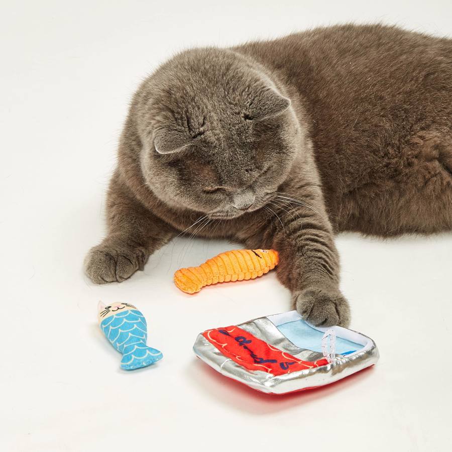 Gato cinzento com brinquedos de peluche coloridos