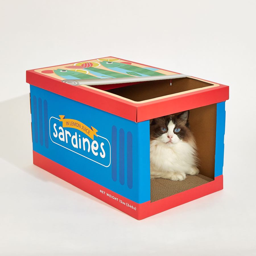 Caixa de cartão colorida com gato dentro