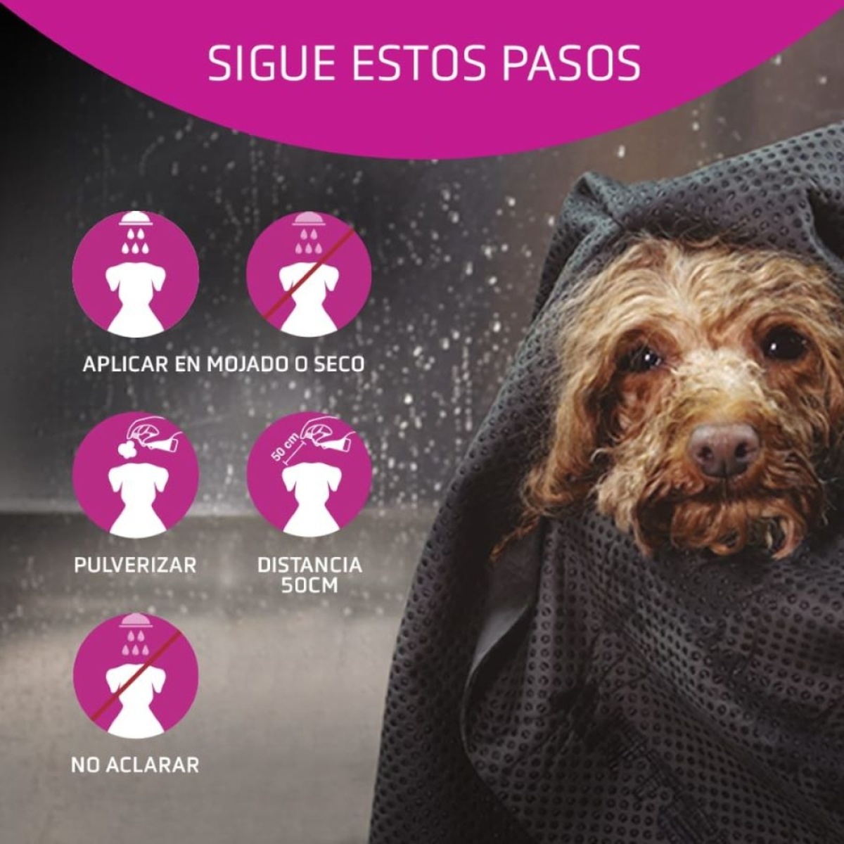 Instruções de aplicação de produto em tecido e cão com toalha preta