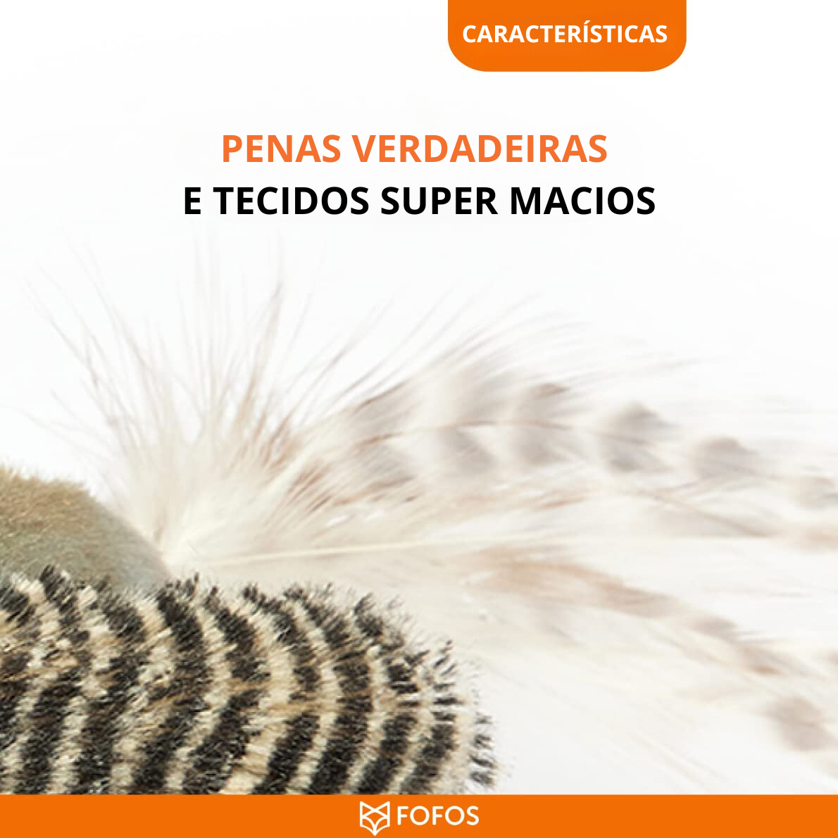 Penas verdadeiras com padrões listrados e texturas macias em fundo branco com texto em português.
