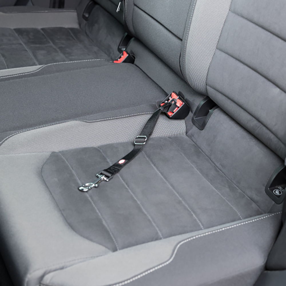 Assento traseiro de carro, tecido cinzento, cinto de segurança