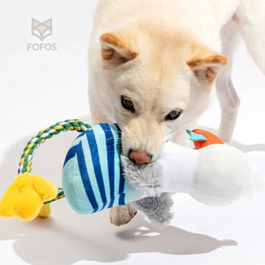 Cão a brincar com brinquedo colorido para cães em fundo branco
