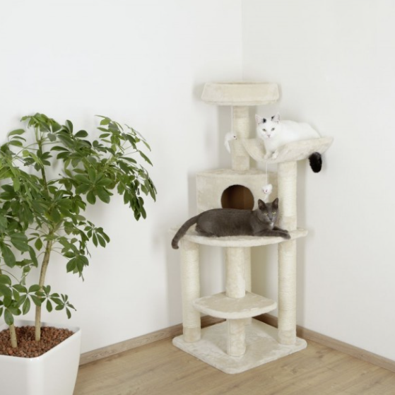 Arranhador para gatos bege com plataformas e postes revestidos em sisal junto a planta em vaso branco