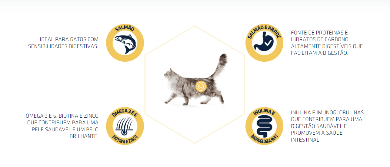 Imagem de gato cinzento e texto em português sobre benefícios da ração para gatos