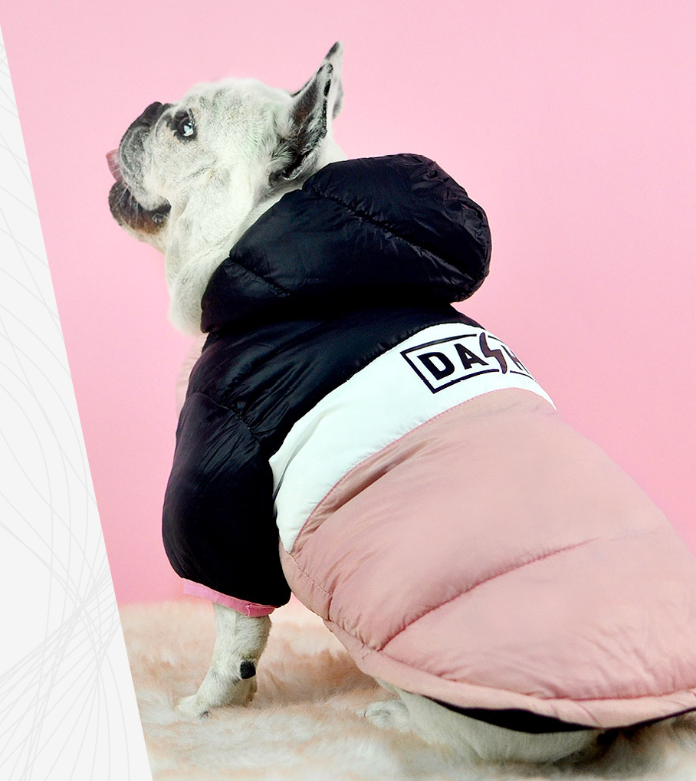 Casaco acolchoado tricolor para cão com etiqueta 'DAG'