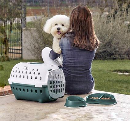 Transportador de cães verde e branco com comedouros verdes ao lado num jardim