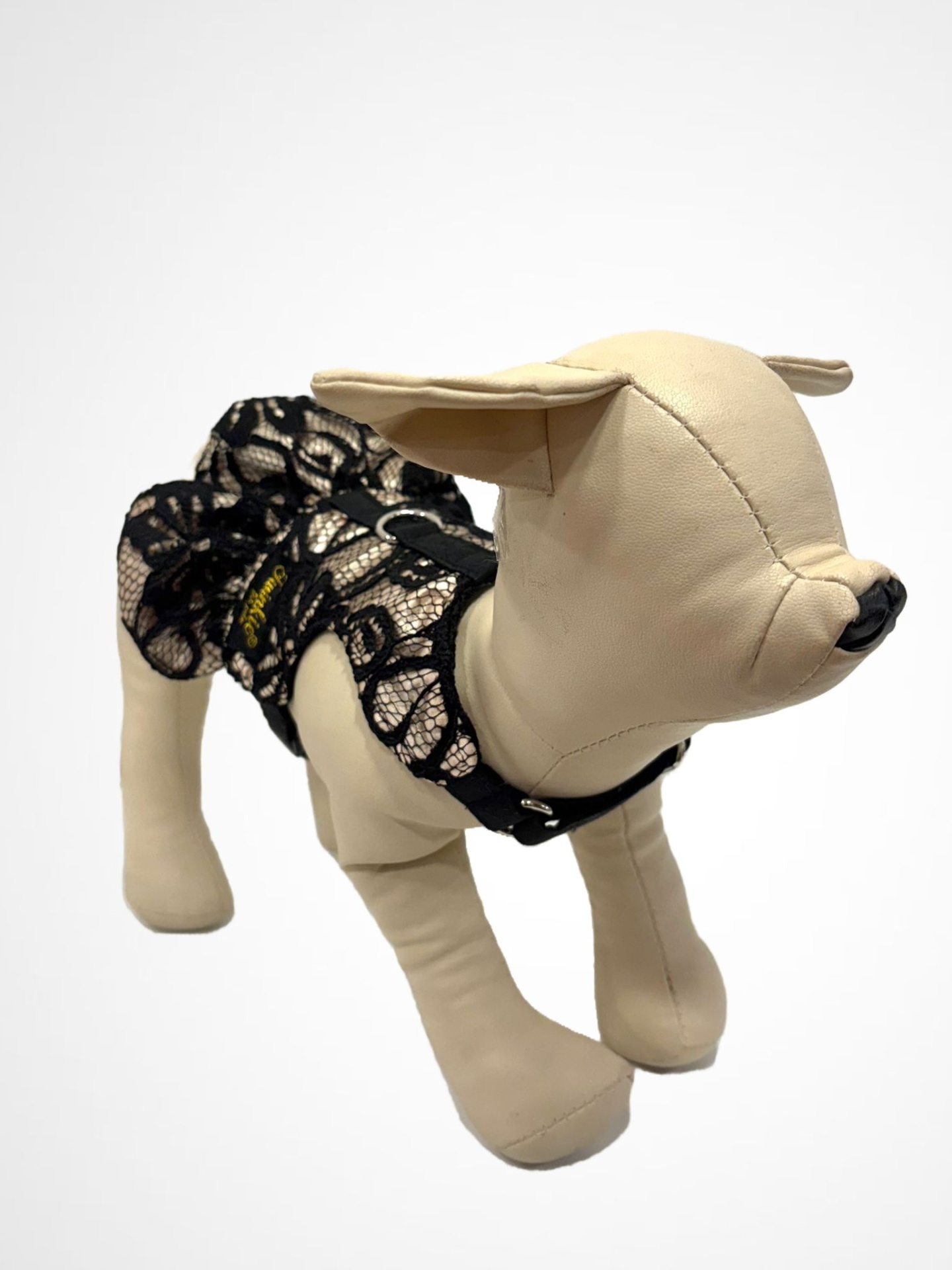 Modelo de cão em pele sintética bege com roupa preta em renda preta com laço