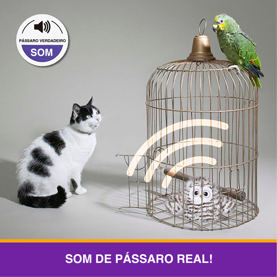 Gato ao lado de gaiola com pássaro verde e brinquedo dentro, fundo cinzento