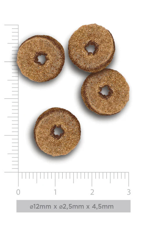 Pedaços circulares castanhos com textura granulada sobre régua para medir dimensões.