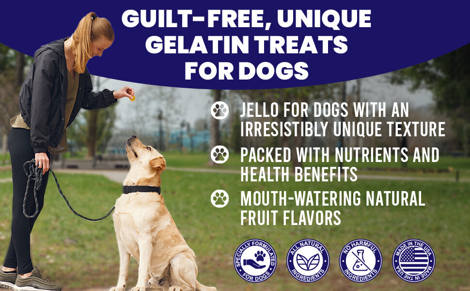 Publicidade de snacks de gelatina para cães, com mulher a alimentar cão e texto informativo em fundo azul