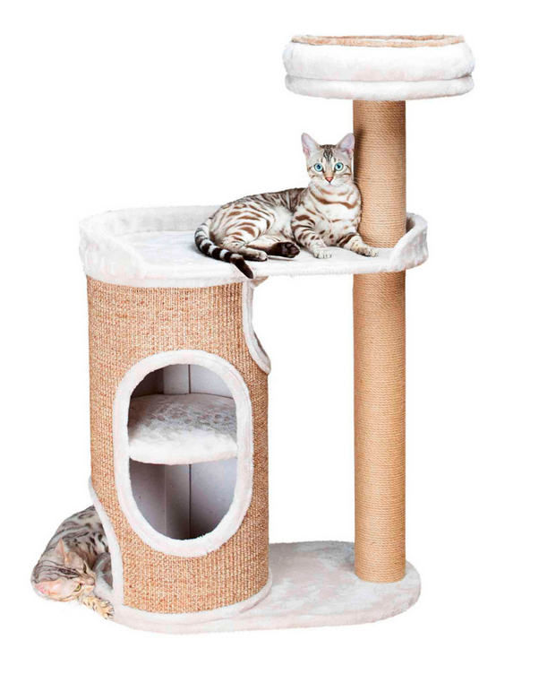 Arranhador para gatos com gatos em plataformas e torre cilíndrica
