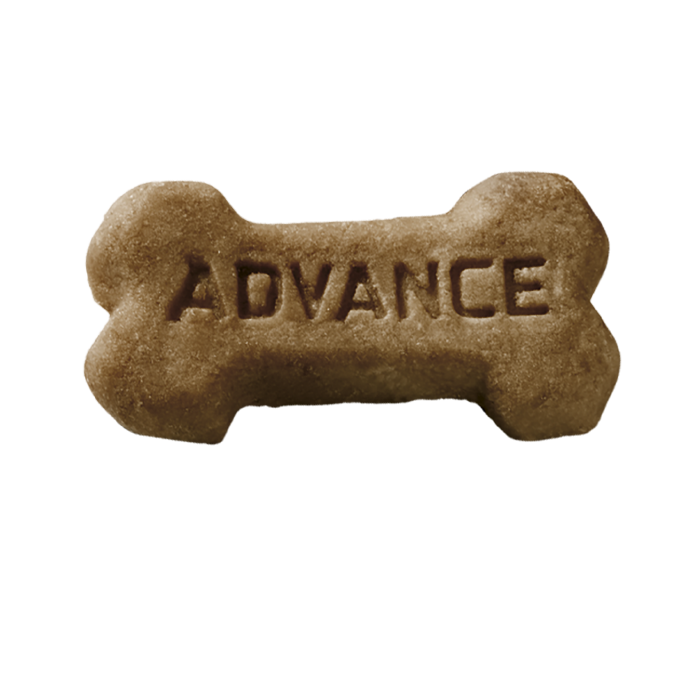 Biscoito para cães em formato de osso com a palavra ADVANCE gravada, colocado sobre régua de medição.