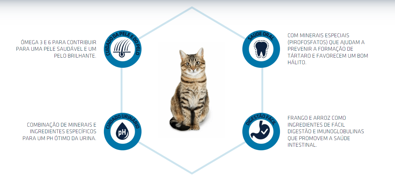 Infográfico sobre benefícios de produto para gatos com texto e ícones