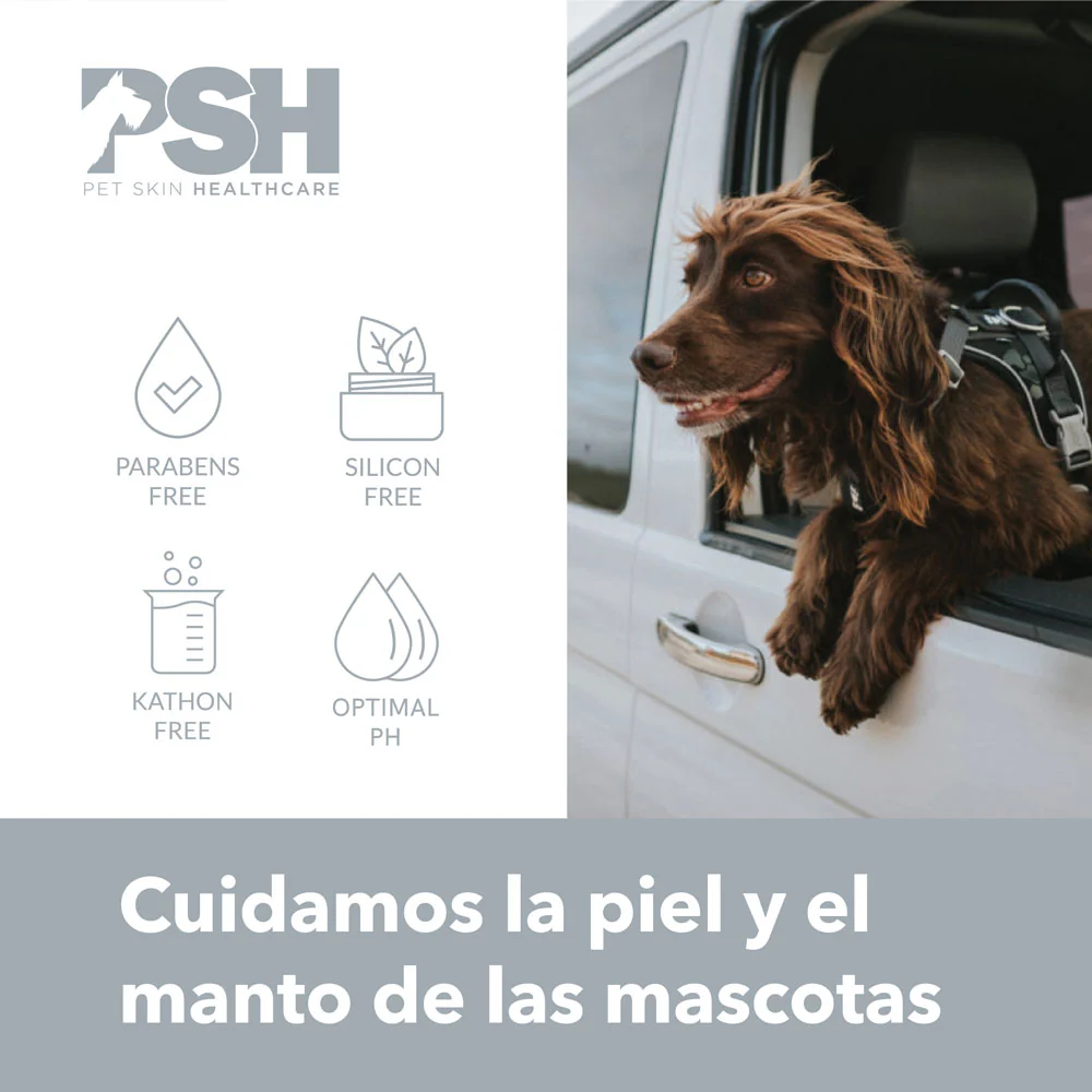 Cão castanho com pelo comprido a olhar para fora da janela de uma viatura branca
