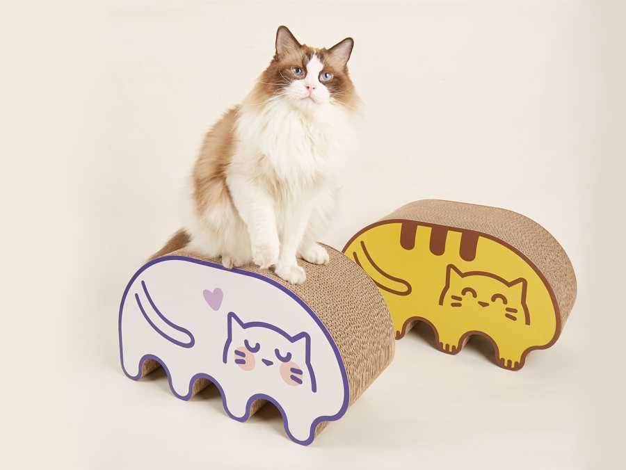 Gato em arranhador de cartão com desenhos de gatos coloridos