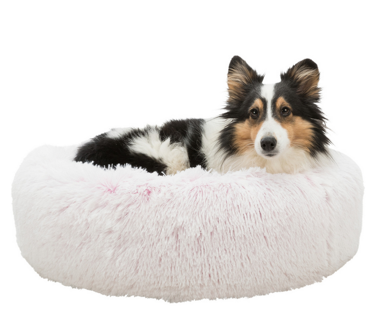 Cão deitado em cama redonda felpuda branca.