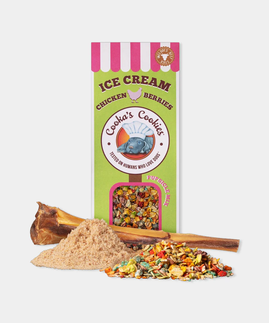 Caixa de comida para cães verde e rosa com ração colorida, pó e osso