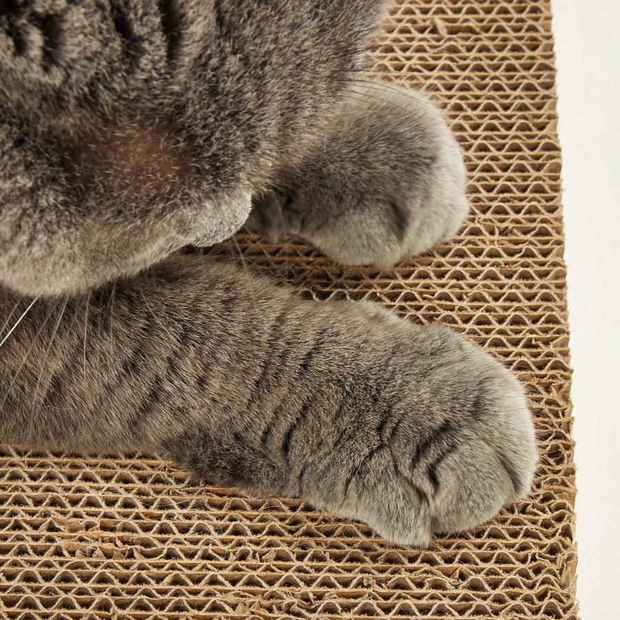 Patinhas de gato cinza com riscas sobre tapete de sisal castanho texturizado