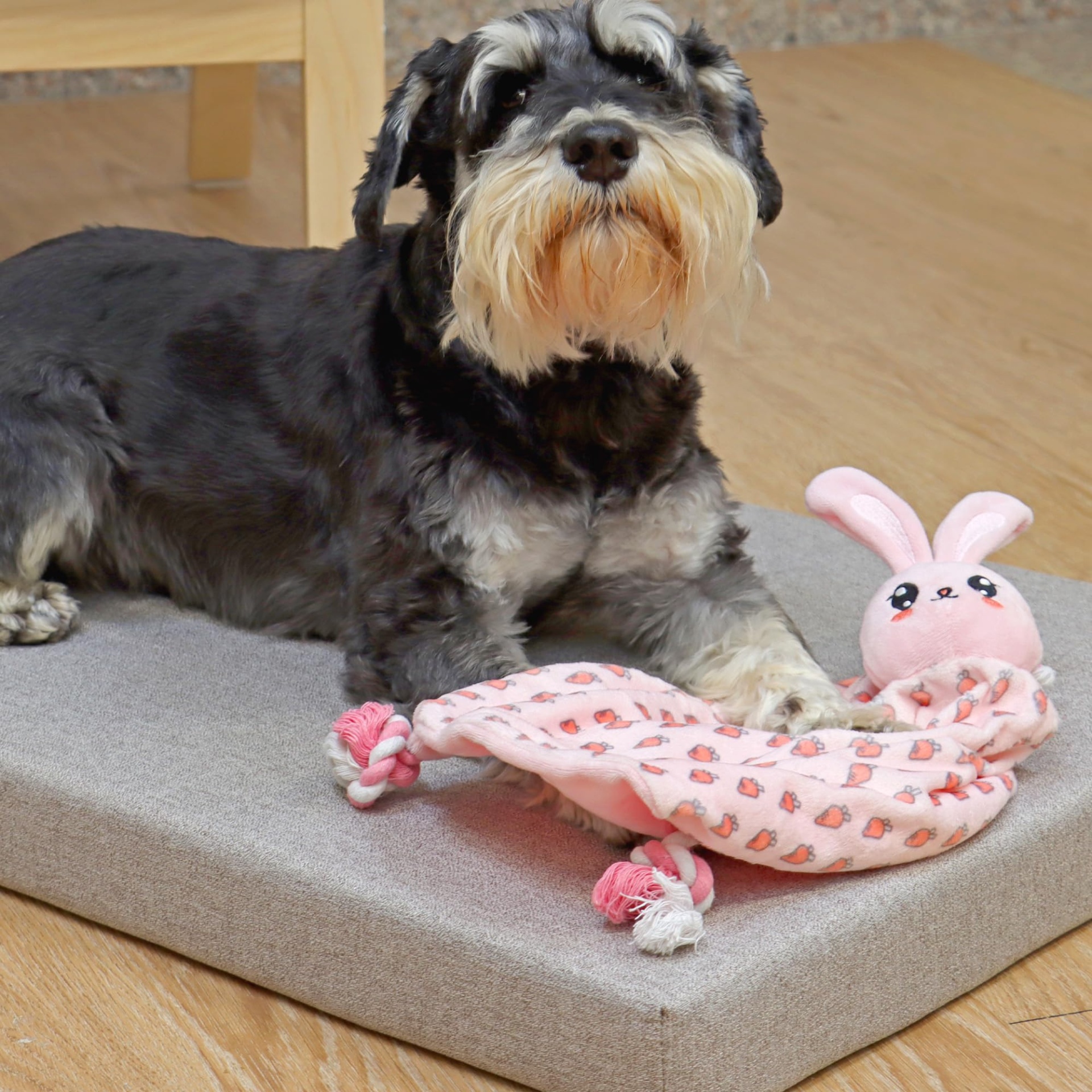 Cama cinza para cães com cão preto e cinza e brinquedo rosa de coelho