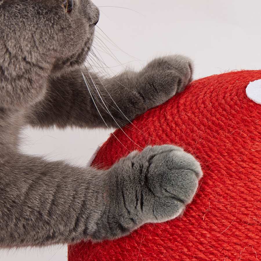 Detalhe das patas de um gato cinza a arranhar um arranhador vermelho para gatos.