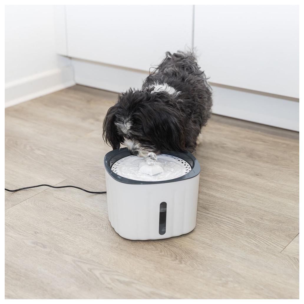 Fonte de água elétrica branca e cinzenta com cão a beber no chão de madeira