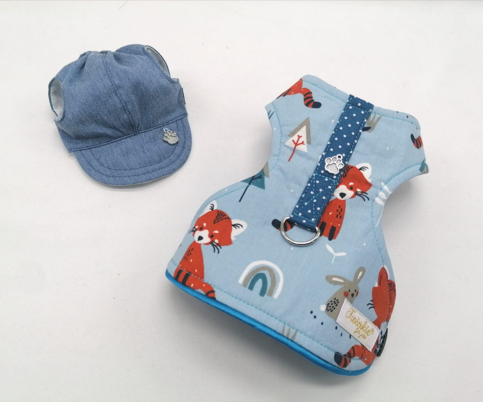 Colete azul claro estampado com personagens e boné azul claro para animal