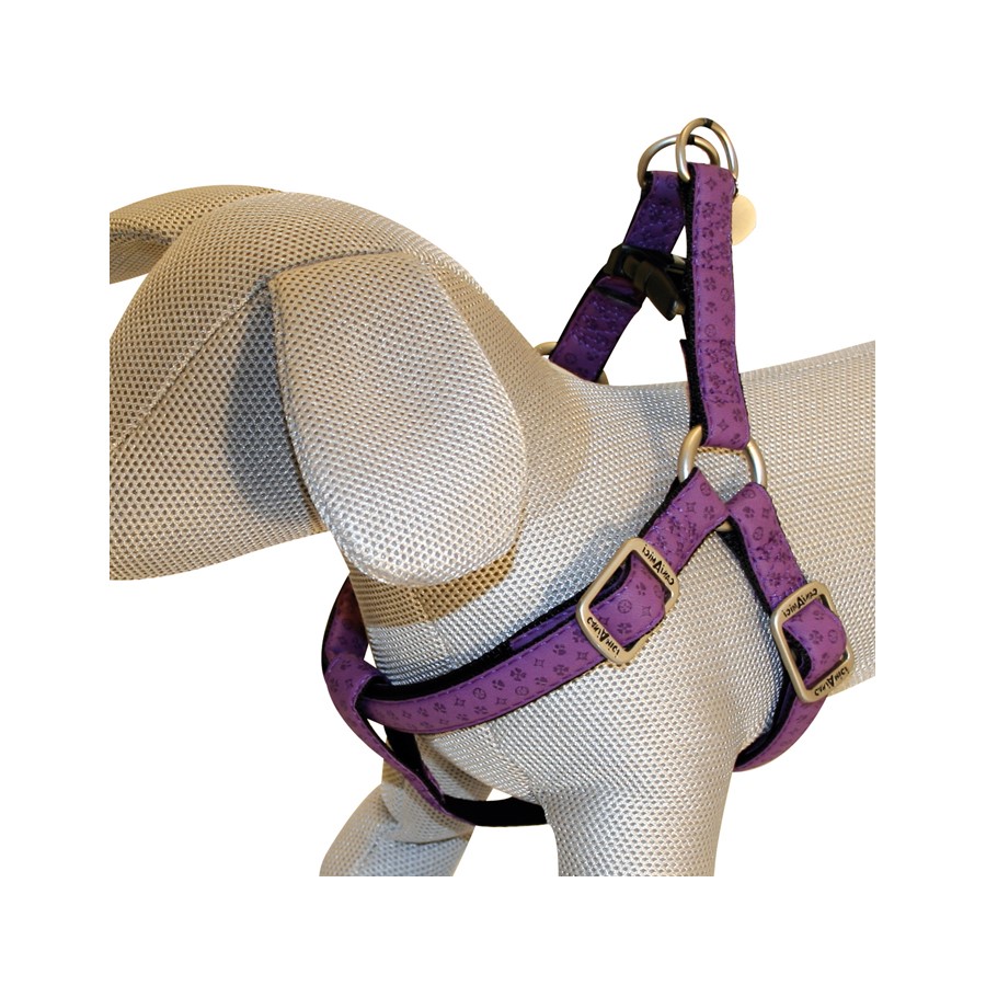 Peitoral para cão roxo com padrão escuro em manequim branco