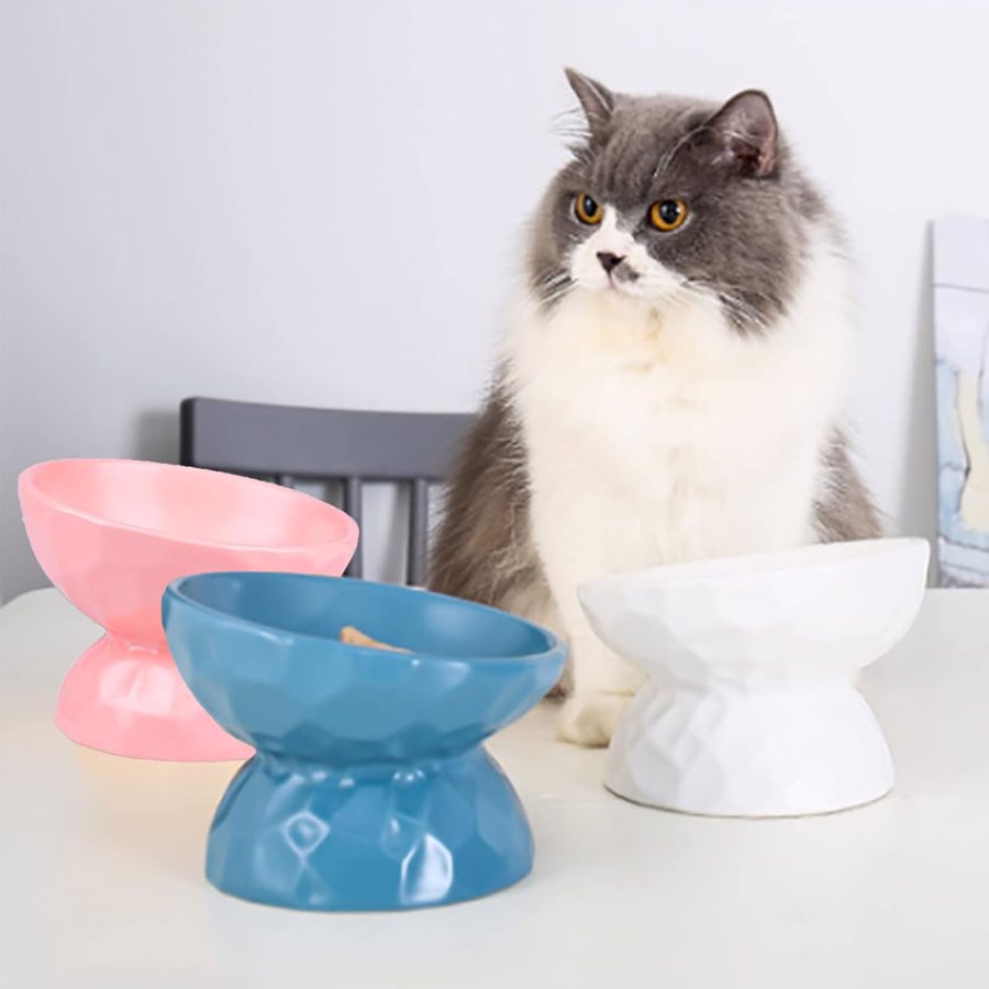 Três tigelas de cerâmica para gatos coloridas com gato ao lado numa mesa
