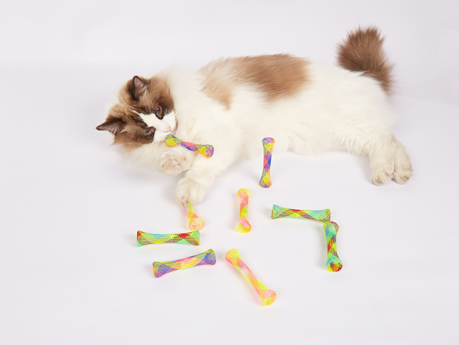 Gato branco e castanho claro com brinquedos coloridos em rede em fundo branco.