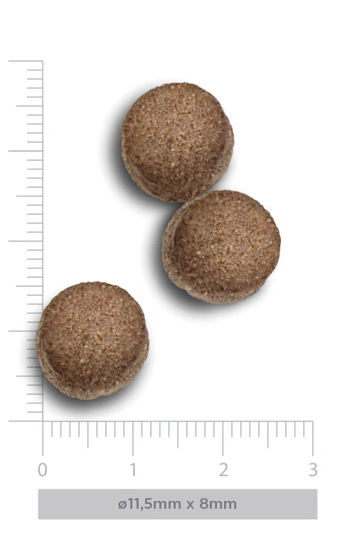 Três pastilhas castanhas granuladas com régua para escala