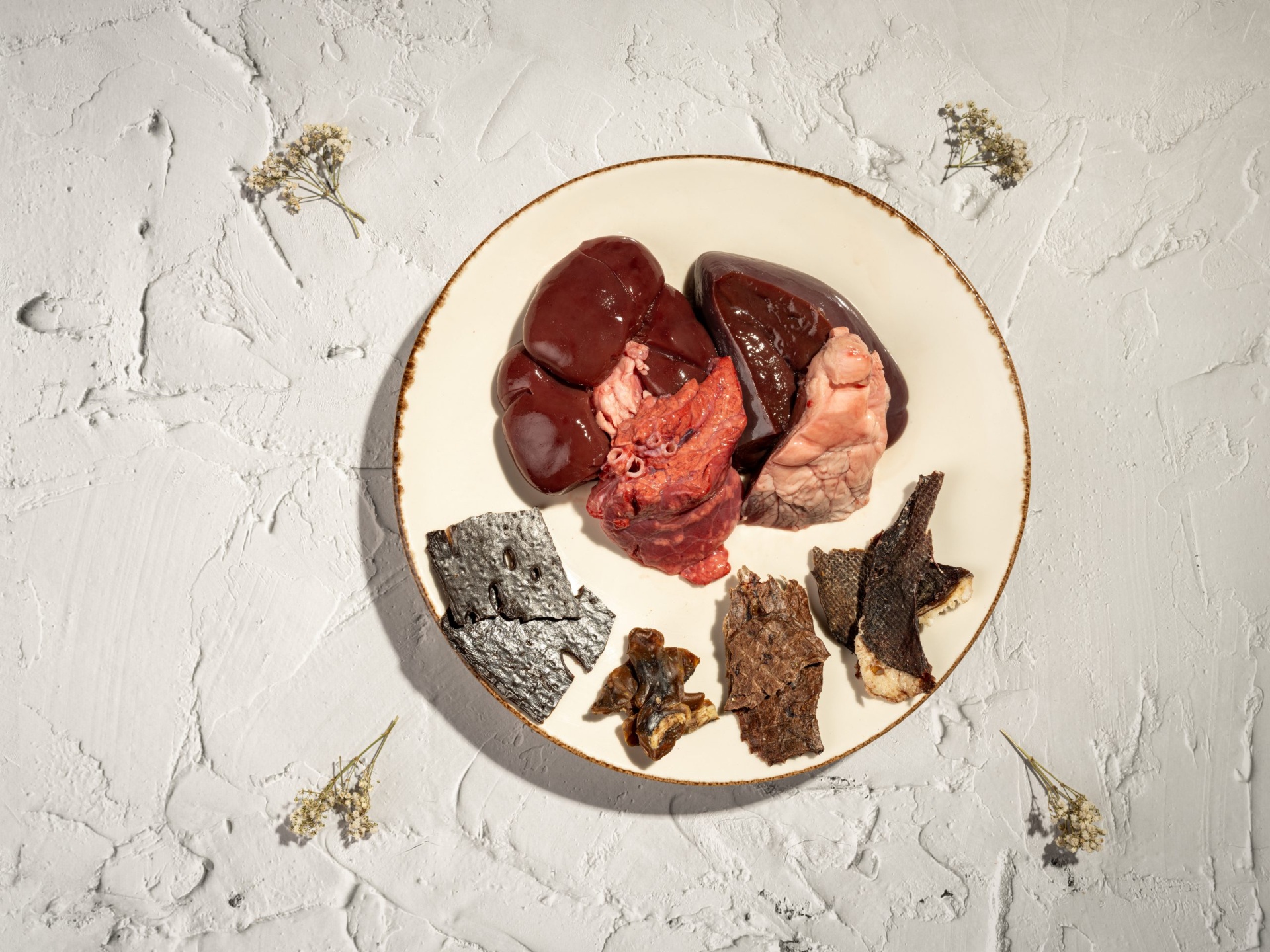 Prato com diferentes pedaços de carne crua e desidratada em fundo branco texturado