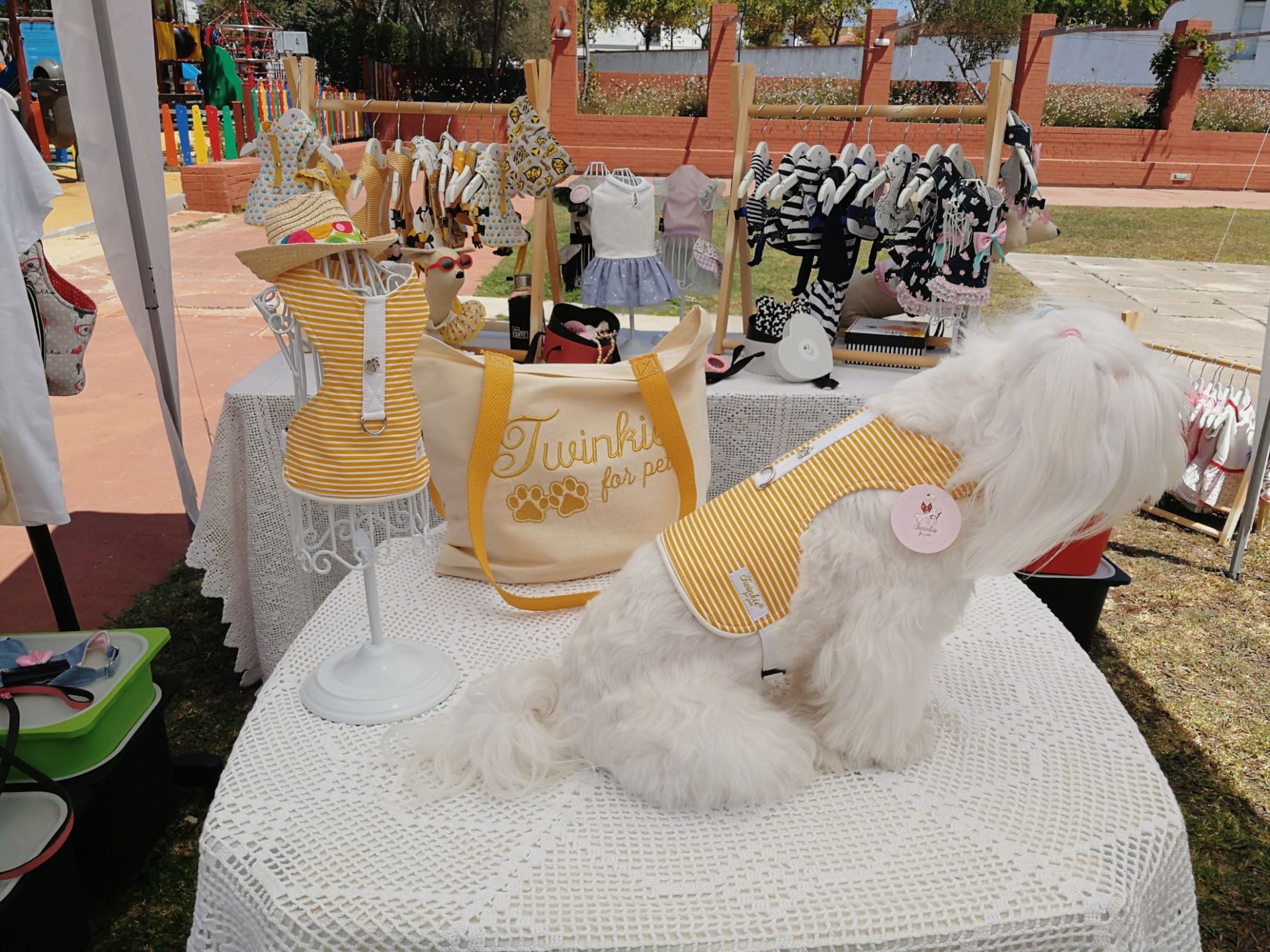 Cão branco com coleira amarela em mesa com roupas amarelas e branca e mala com texto, em mercado ao ar livre