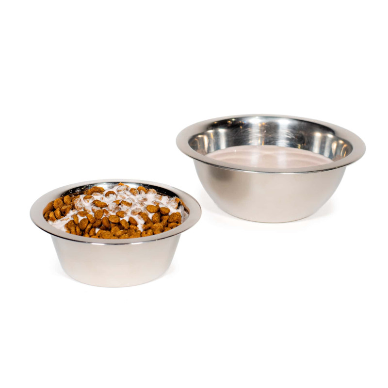 Duas tigelas de aço inoxidável para cães, uma com comida seca e outra vazia