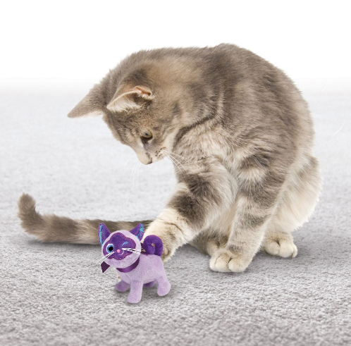 Gato cinzento a tocar um brinquedo de peluche roxo