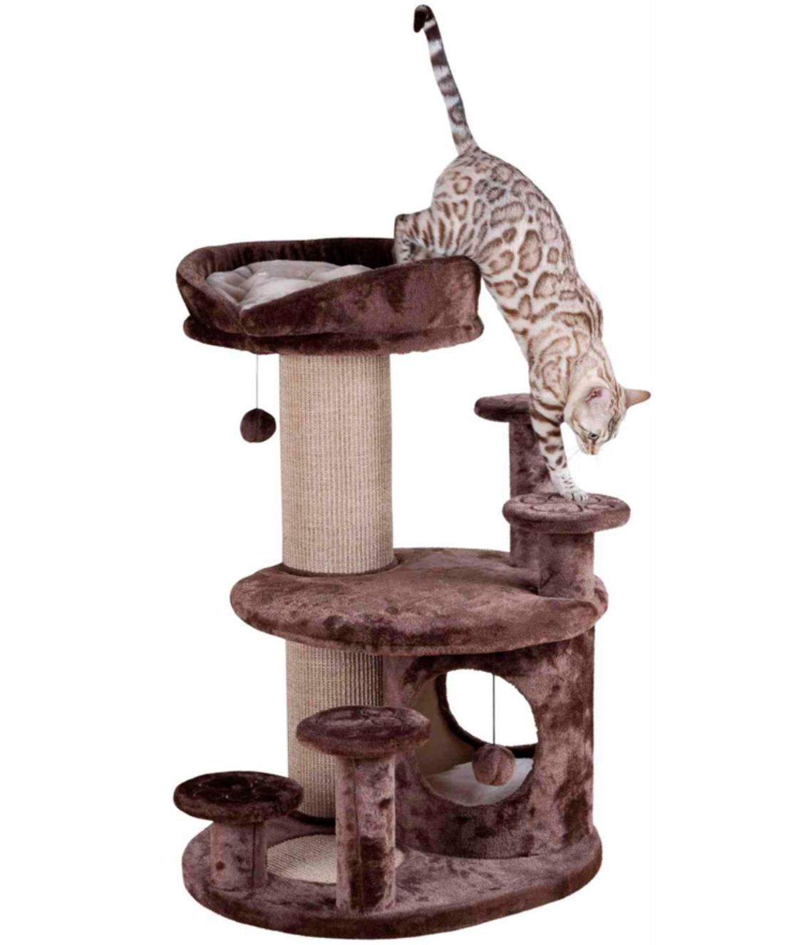 Arranhador castanho para gatos com gato tigrado claro