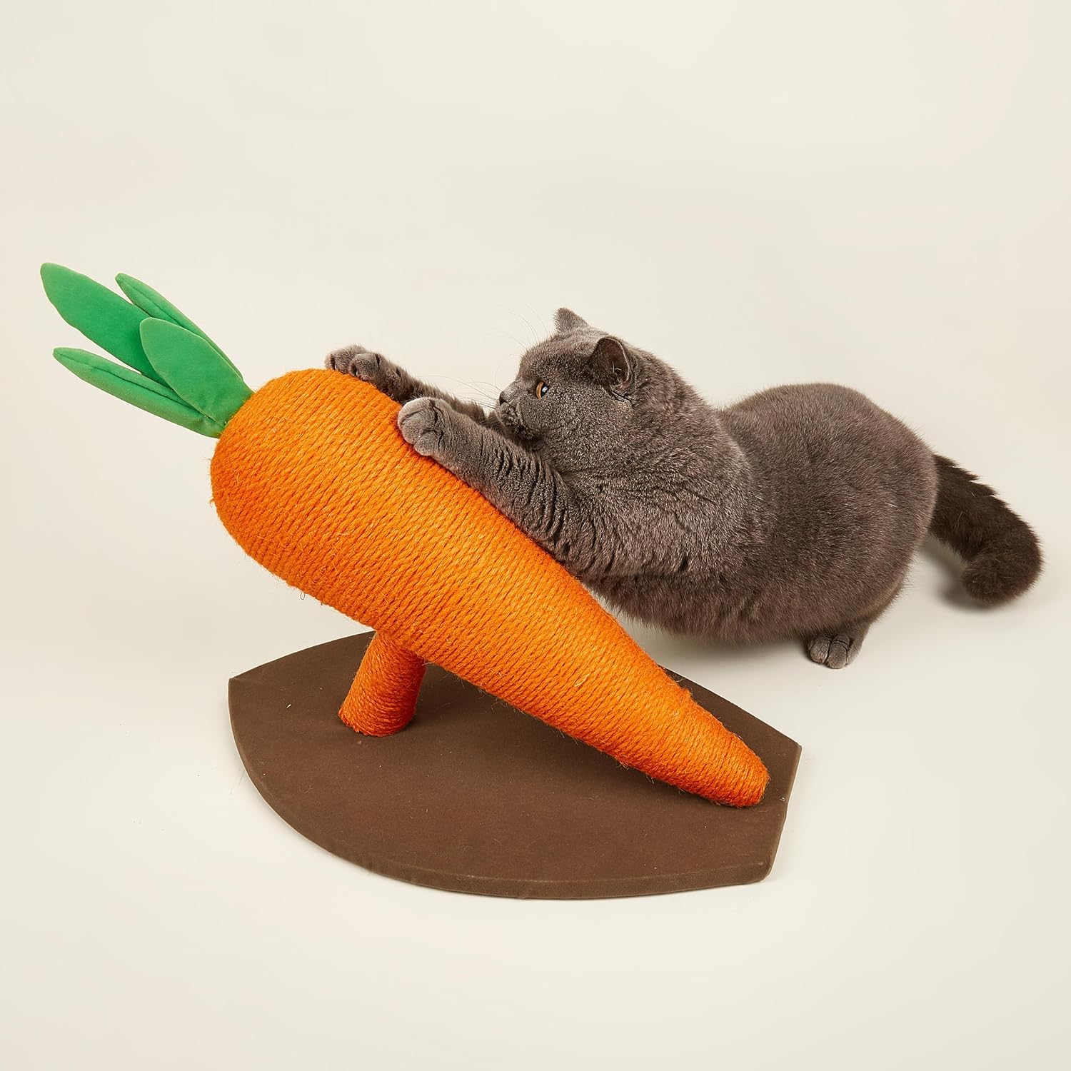 Gato cinzento a brincar com brinquedo em forma de cenoura laranja