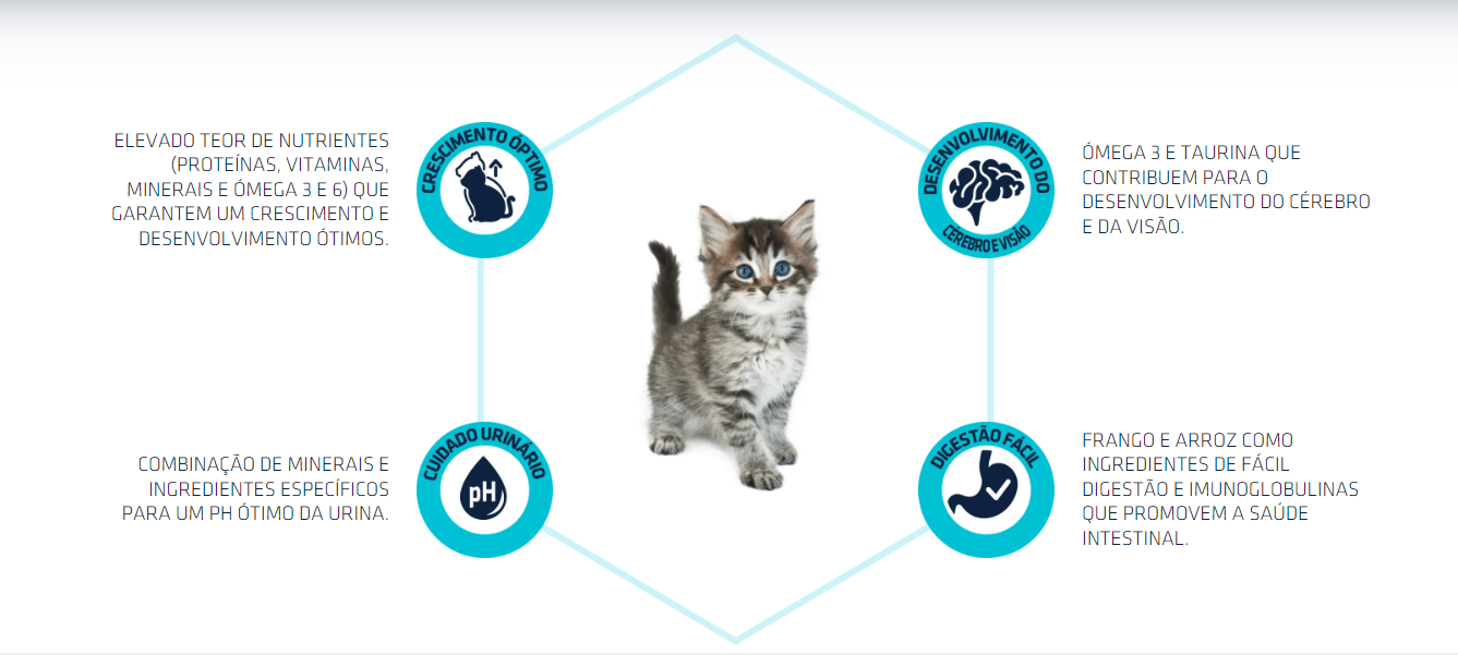 Gato cinzento com texto sobre nutrientes e ingredientes para gatos