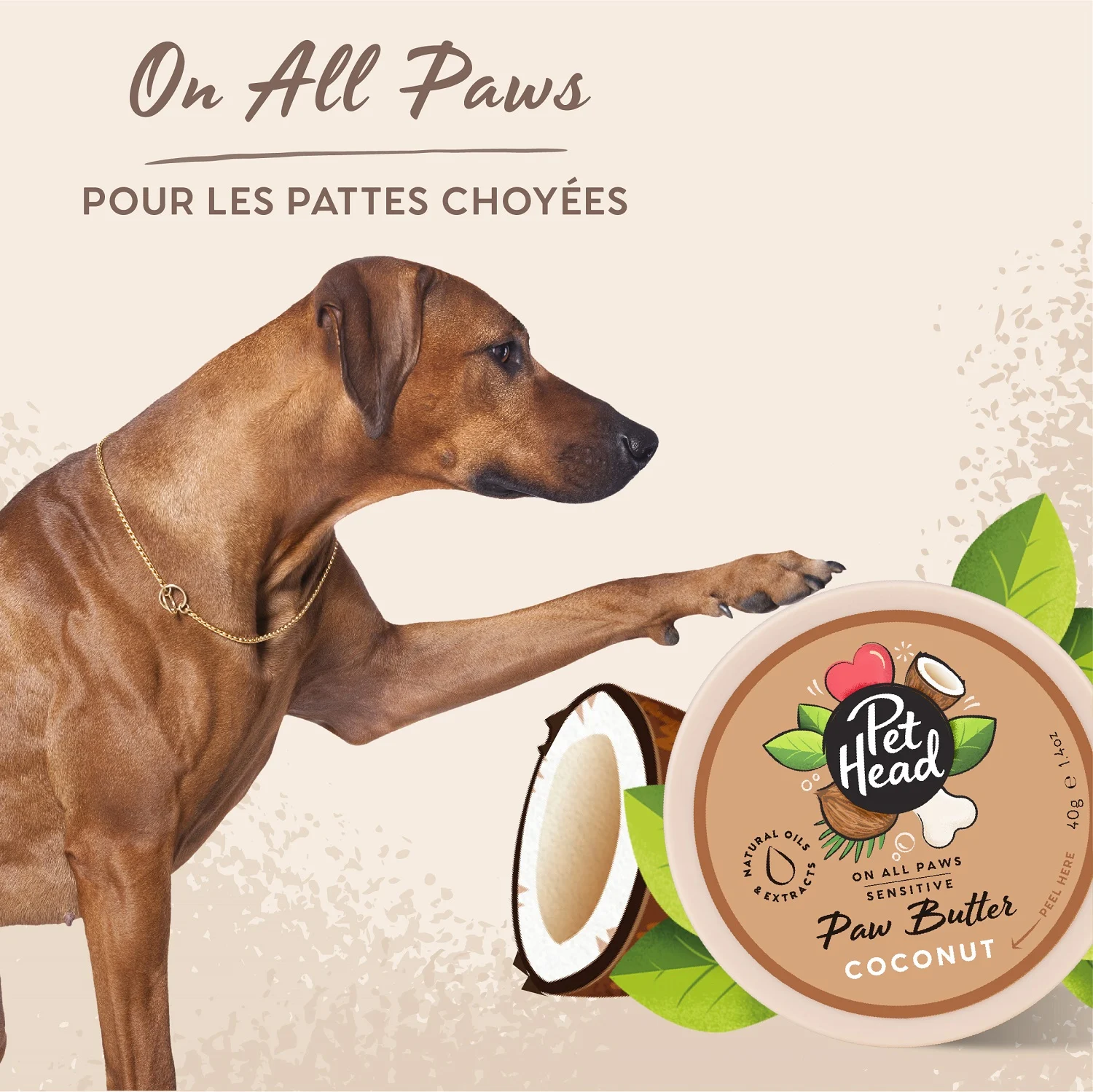 Lata de bálsamo para patas Pet Head com cão castanho estendendo pata