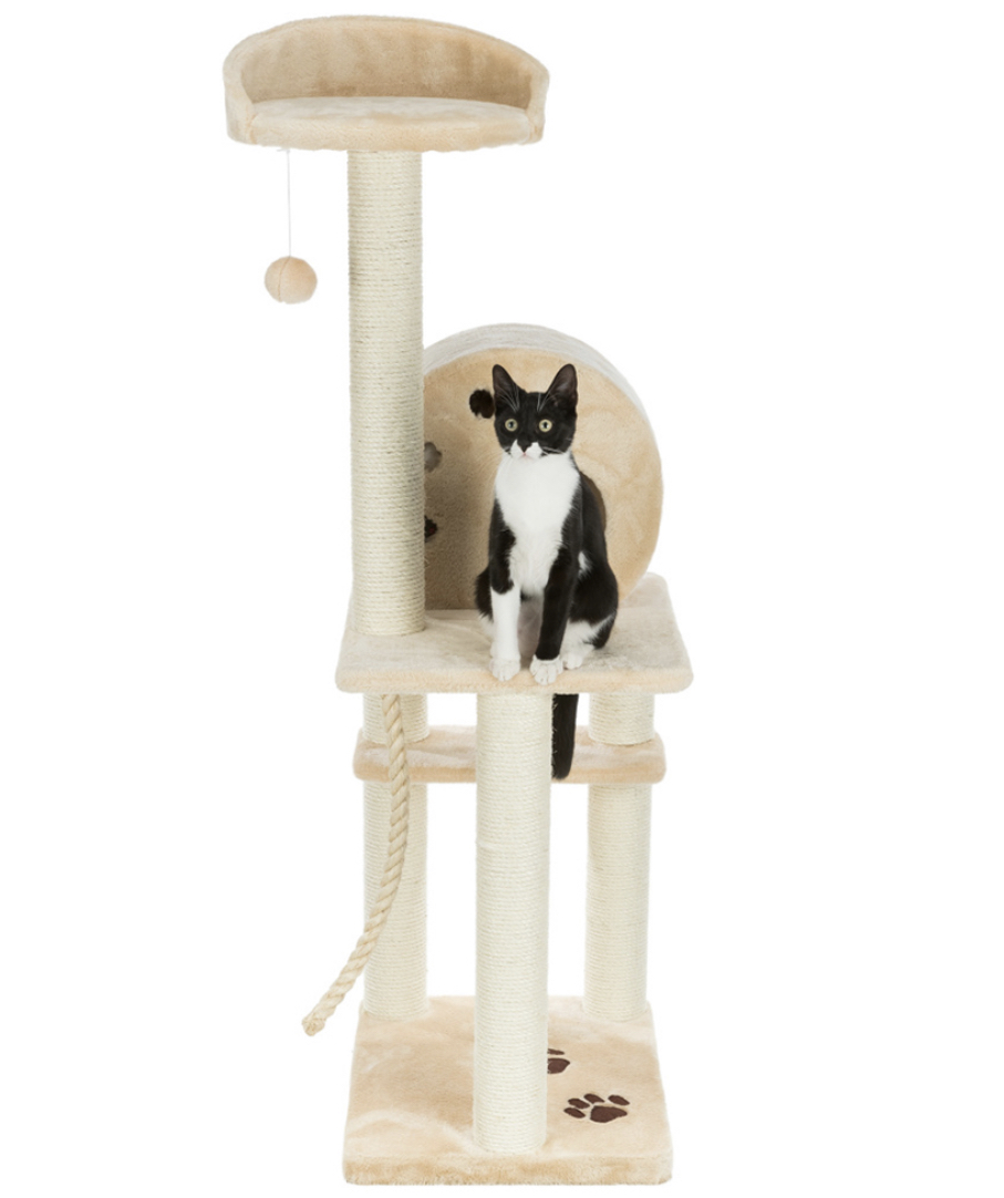 Arranhador para gato bege com gato preto e branco sentado na plataforma