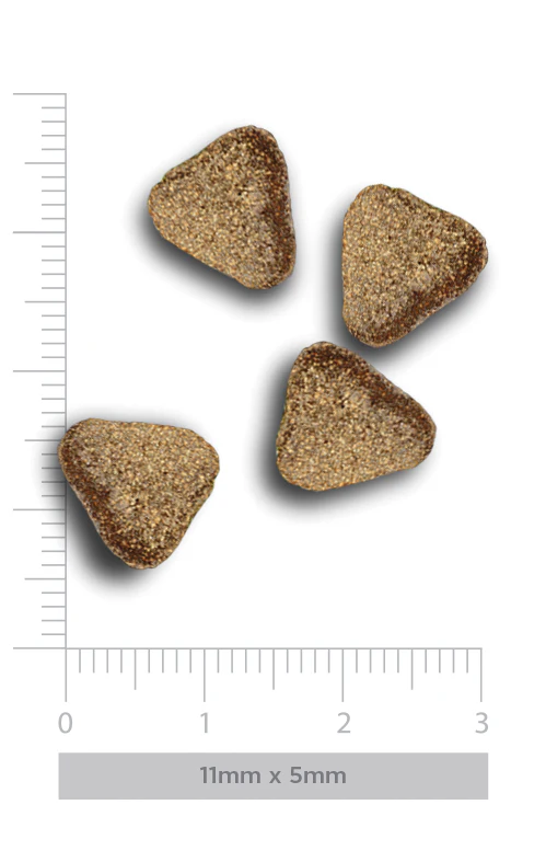 Pequenos pedaços triangulares de ração marrom clara sobre escala com marcações.