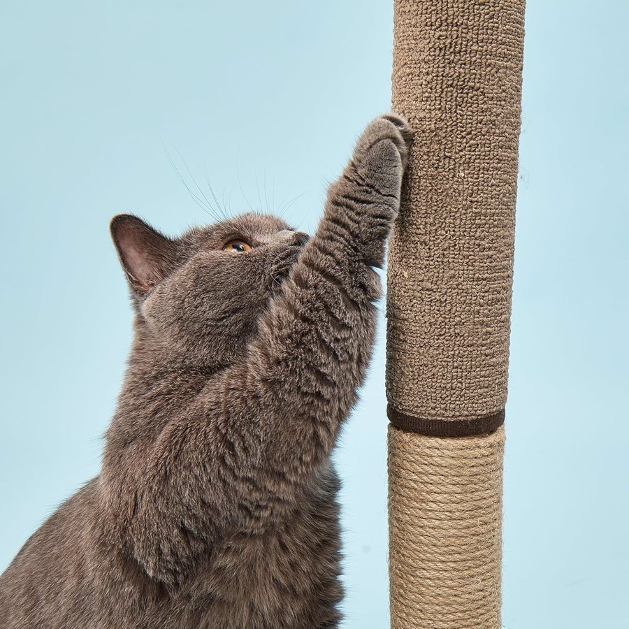 Gato cinzento a arranhar uma ratoeira de tecido castanho com duas texturas distintas.