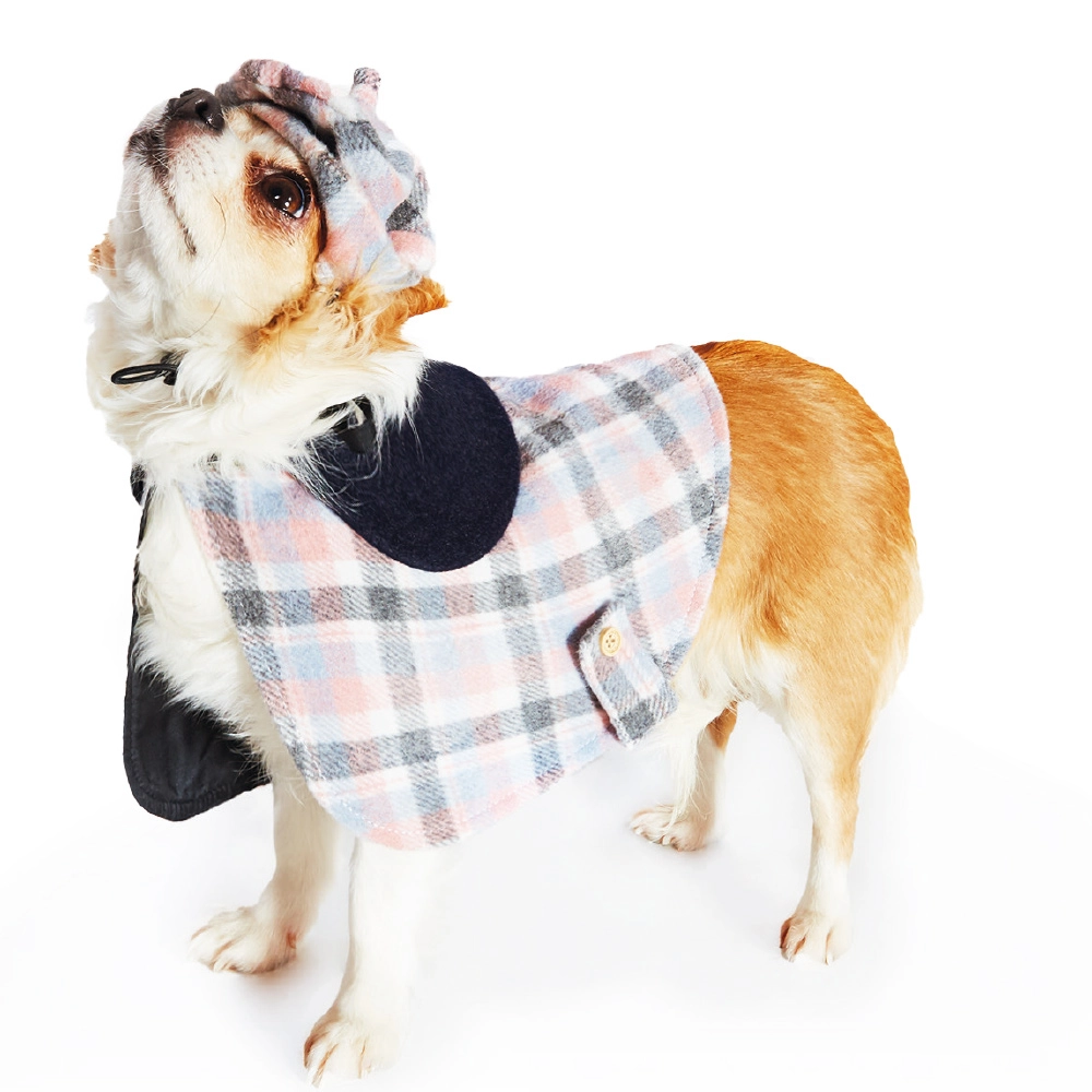 Cão pequeno com casaco e chapéu xadrez azul claro, rosa e cinza com detalhes pretos