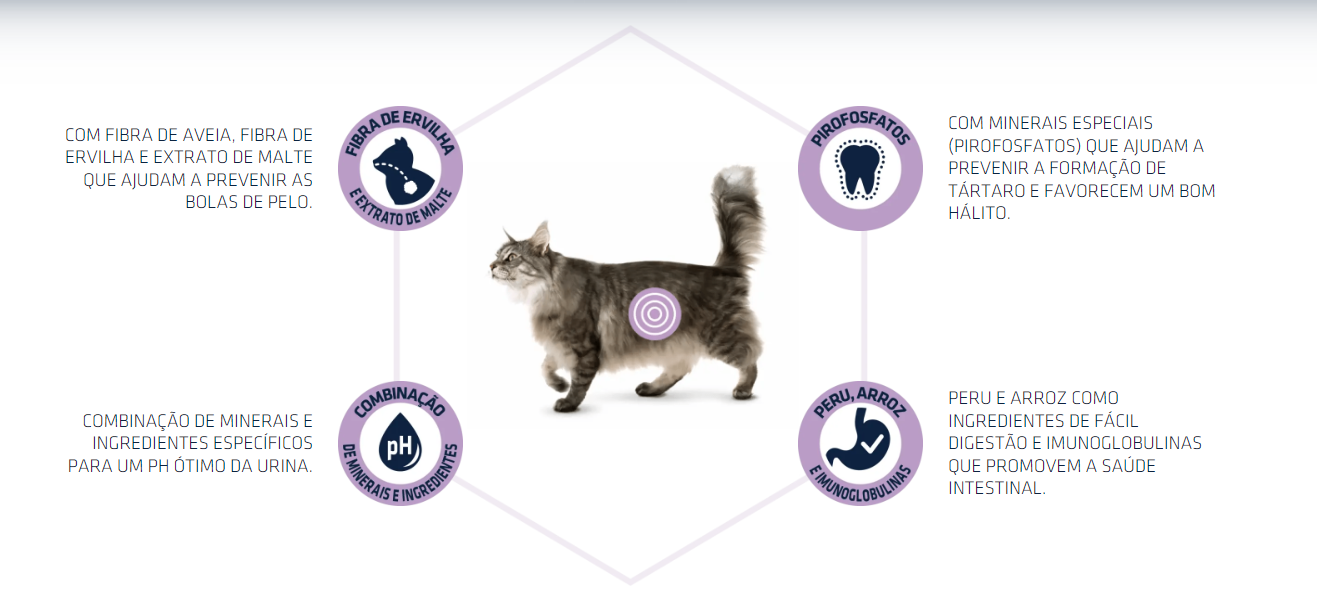 Diagrama com gato cinza e texto explicativo sobre ingredientes e benefícios do produto para gatos