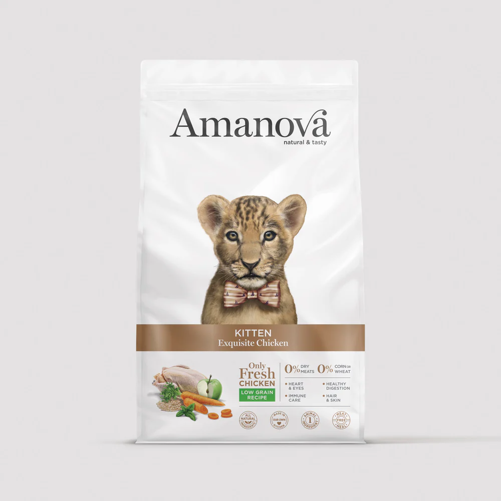 Saco branco de comida para gatinhos Amanova com imagem de leão bebê e texto informativo.
