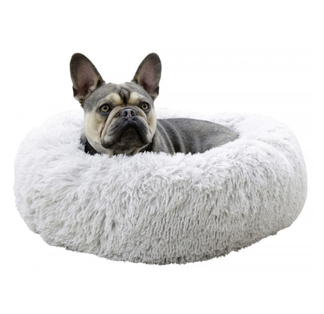 Cão de raça Bulldog Francês deitado em cama felpuda cinza para cães