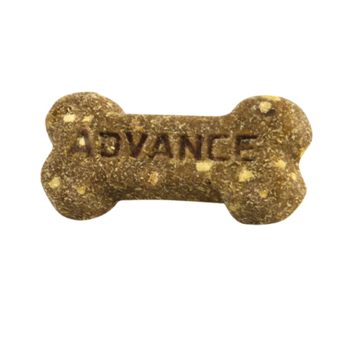 Biscoito para cães castanho em forma de osso com texto ADVANCE